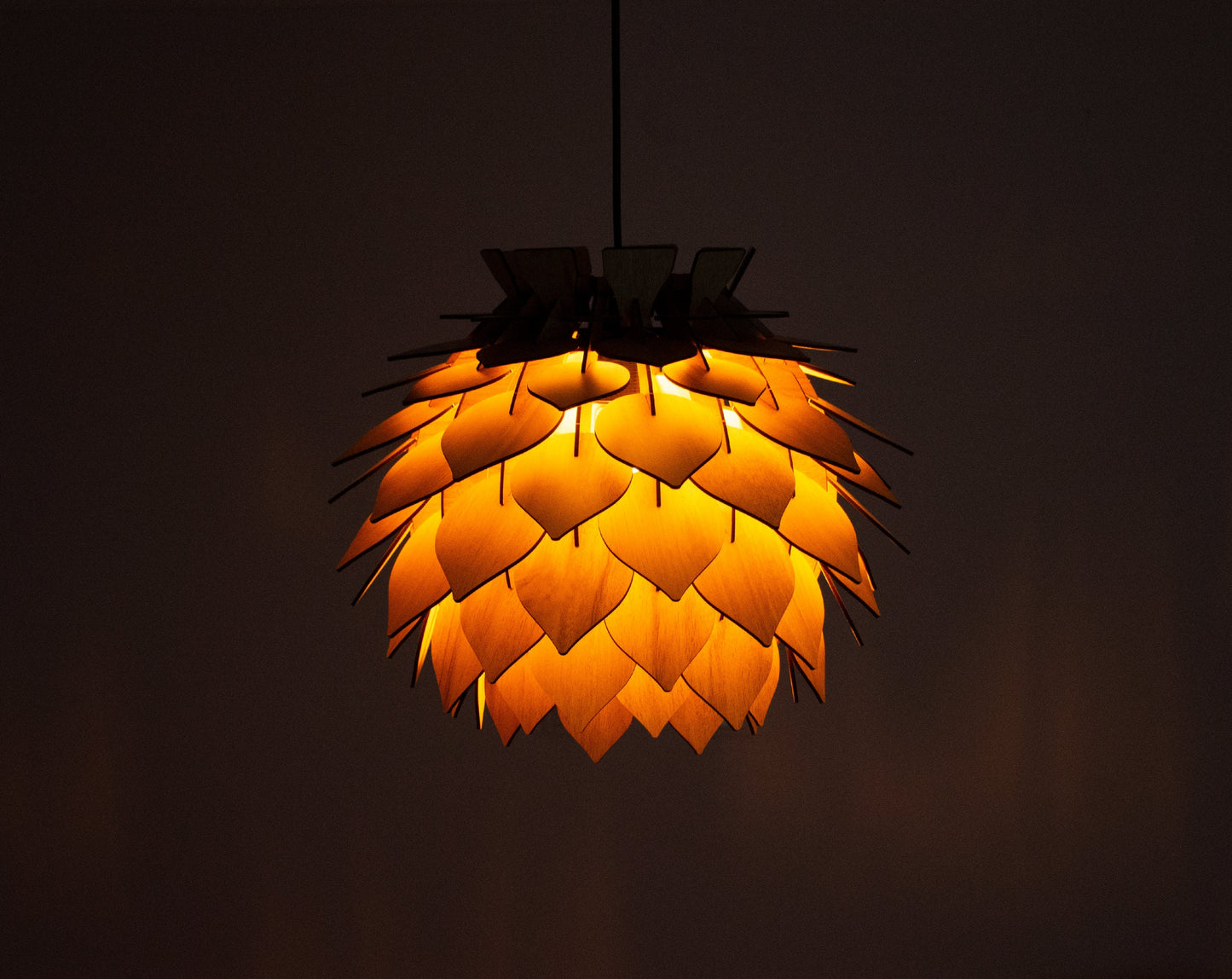 Modern Wooden Pendant Light
