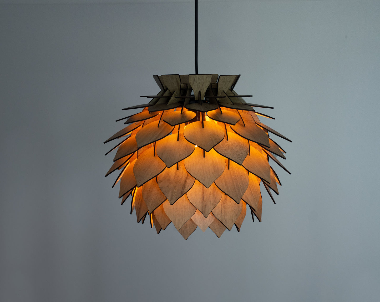Modern Wooden Pendant Light